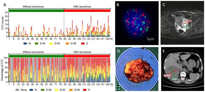 https://cdn.ncbi.nlm.nih.gov/pmc/blobs/edf6/7985206/f6c2528a749e/41598_2021_86122_Fig1_HTML.jpg