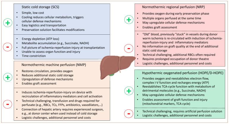 https://cdn.ncbi.nlm.nih.gov/pmc/blobs/edf6/9457017/cc9f20e6de32/jcm-11-05218-g004.jpg
