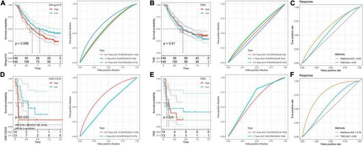 https://cdn.ncbi.nlm.nih.gov/pmc/blobs/edf6/9631945/715554ace9d9/fped-10-999684-g008.jpg