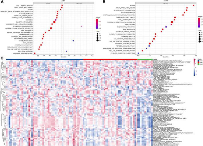 https://cdn.ncbi.nlm.nih.gov/pmc/blobs/edf6/9631945/805450978685/fped-10-999684-g002.jpg