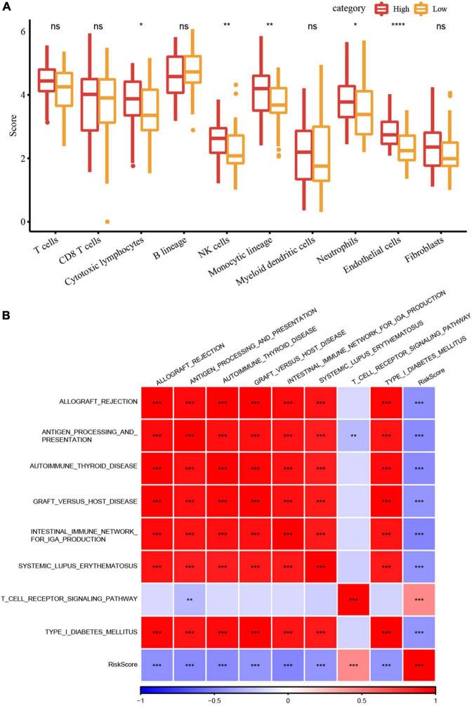 https://cdn.ncbi.nlm.nih.gov/pmc/blobs/edf6/9631945/b1603db13731/fped-10-999684-g006.jpg