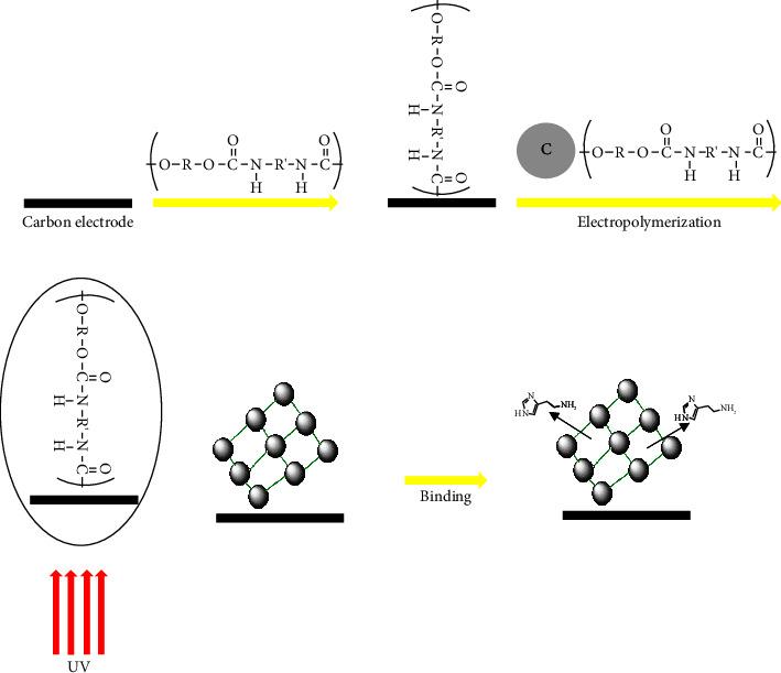 https://cdn.ncbi.nlm.nih.gov/pmc/blobs/edf8/10085648/72b9d273d0e3/SCIENTIFICA2023-5444256.001.jpg