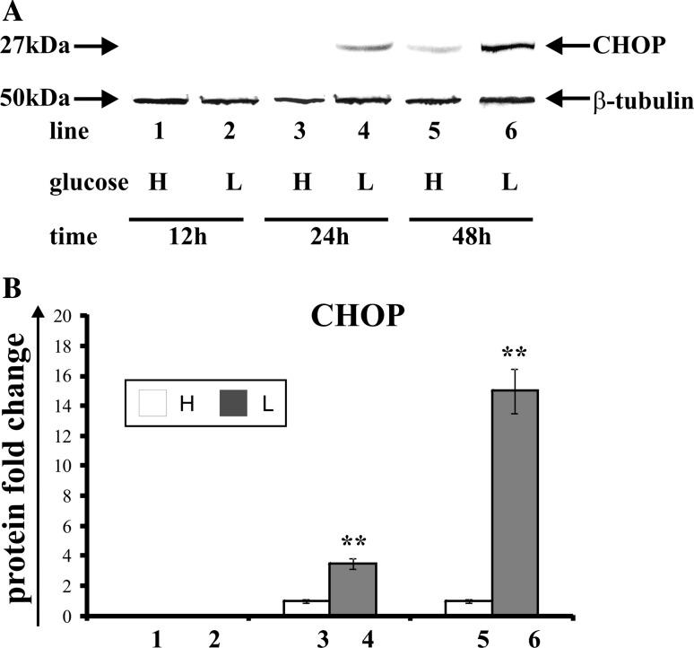 https://cdn.ncbi.nlm.nih.gov/pmc/blobs/edf9/4887537/9985e629188c/11010_2016_2711_Fig2_HTML.jpg
