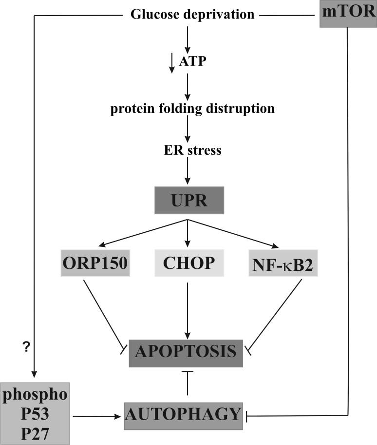 https://cdn.ncbi.nlm.nih.gov/pmc/blobs/edf9/4887537/bcc993b6c3d2/11010_2016_2711_Fig9_HTML.jpg