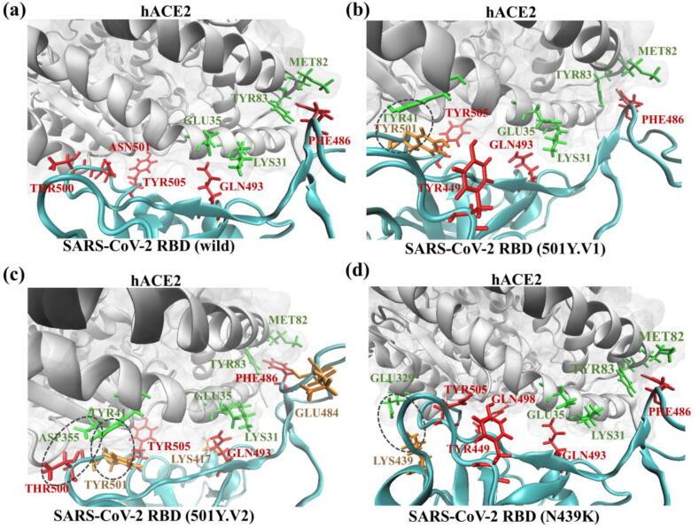 https://cdn.ncbi.nlm.nih.gov/pmc/blobs/edfa/8350370/980a65f8d160/gr3.jpg