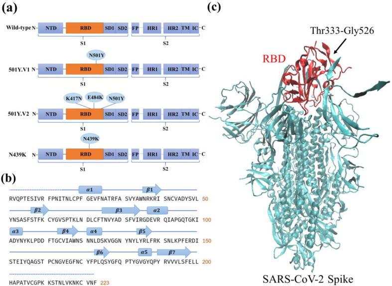 https://cdn.ncbi.nlm.nih.gov/pmc/blobs/edfa/8350370/efaaab6f27a9/gr1.jpg