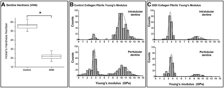 https://cdn.ncbi.nlm.nih.gov/pmc/blobs/edfe/6897053/5131716b756b/IJN-14-9423-g0005.jpg