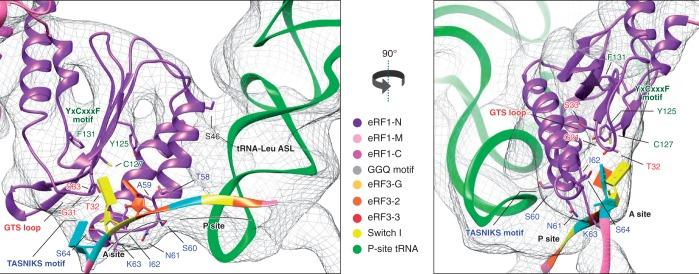 https://cdn.ncbi.nlm.nih.gov/pmc/blobs/ee03/3950680/fef43cb6e0c0/gkt1279f3p.jpg