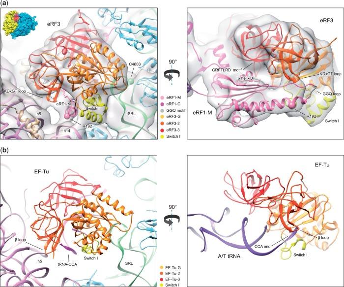 https://cdn.ncbi.nlm.nih.gov/pmc/blobs/ee03/3950680/ff2e5f8dddd1/gkt1279f5p.jpg