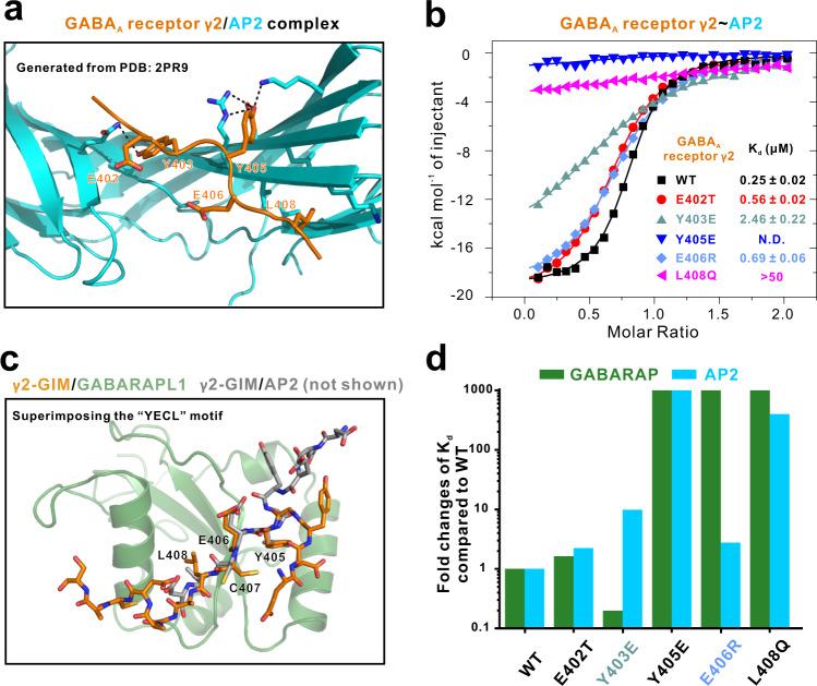 https://cdn.ncbi.nlm.nih.gov/pmc/blobs/ee04/7803741/0a07f32b0b18/41467_2020_20624_Fig3_HTML.jpg