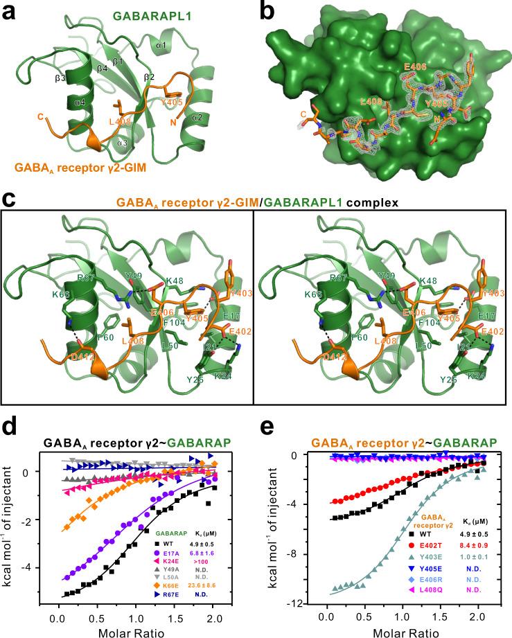 https://cdn.ncbi.nlm.nih.gov/pmc/blobs/ee04/7803741/1469ab06a1f2/41467_2020_20624_Fig2_HTML.jpg