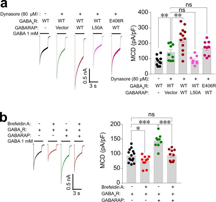 https://cdn.ncbi.nlm.nih.gov/pmc/blobs/ee04/7803741/8ccbb1b592dc/41467_2020_20624_Fig5_HTML.jpg