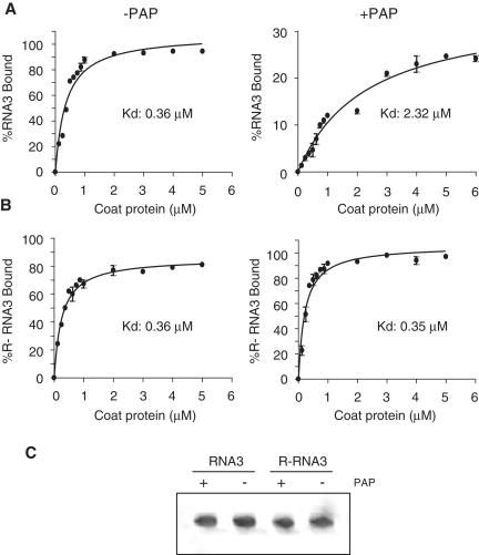 https://cdn.ncbi.nlm.nih.gov/pmc/blobs/ee05/3167629/1dd04761a46f/gkr383f5.jpg