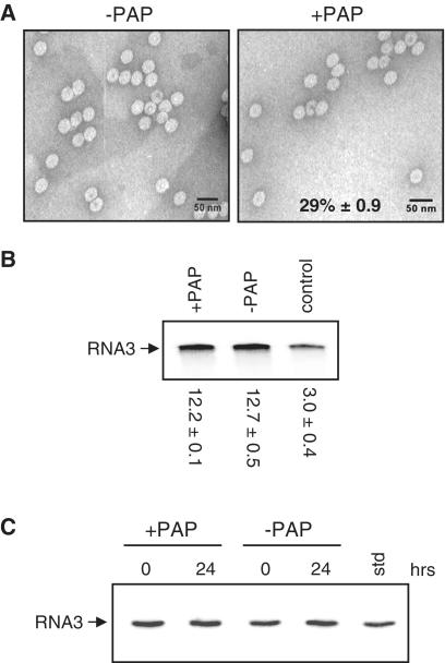 https://cdn.ncbi.nlm.nih.gov/pmc/blobs/ee05/3167629/d70547550f77/gkr383f4.jpg