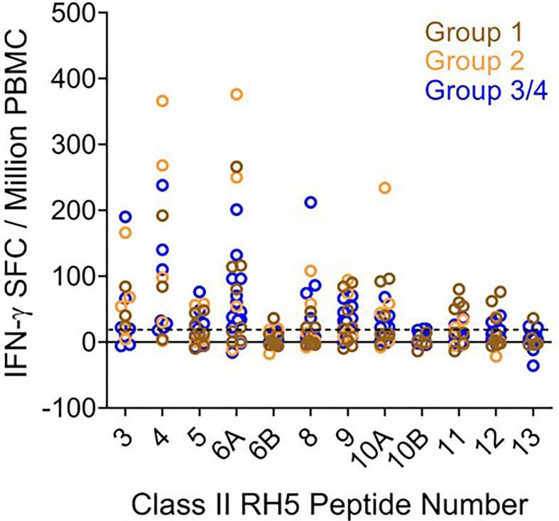 https://cdn.ncbi.nlm.nih.gov/pmc/blobs/ee08/8294059/20d11a5b99ae/fimmu-12-690348-g006.jpg
