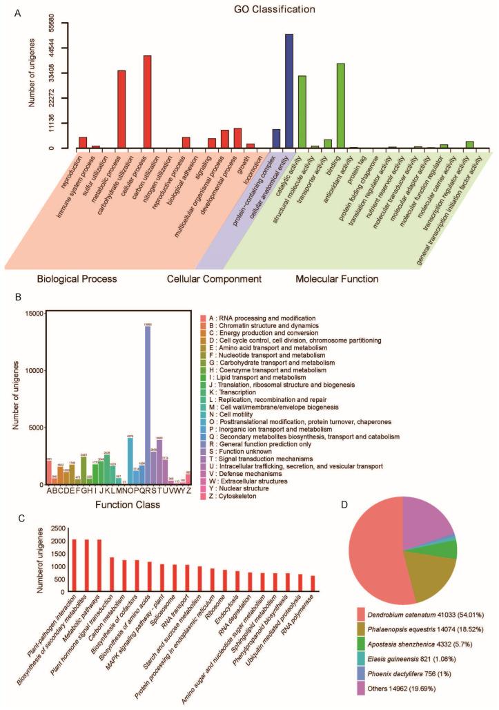 https://cdn.ncbi.nlm.nih.gov/pmc/blobs/ee0a/11644659/e5bd2f1e00a5/plants-13-03262-g002.jpg