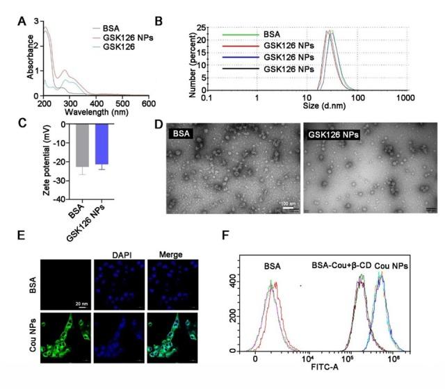 https://cdn.ncbi.nlm.nih.gov/pmc/blobs/ee0a/12116265/003c12c33ff3/j_jtim-2025-0020_fig_003.jpg
