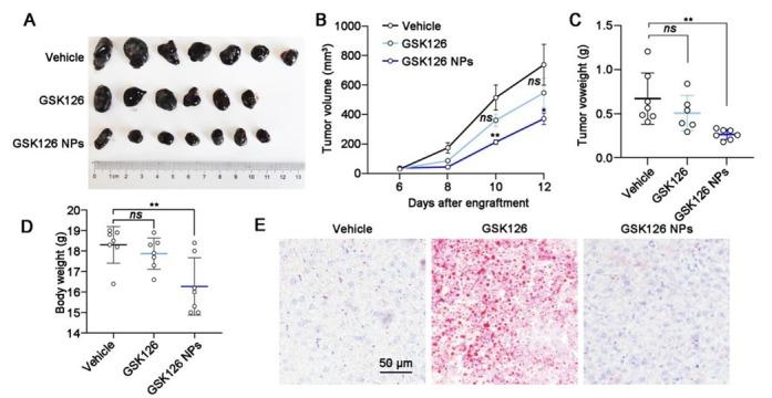 https://cdn.ncbi.nlm.nih.gov/pmc/blobs/ee0a/12116265/2feec80570ab/j_jtim-2025-0020_fig_004.jpg