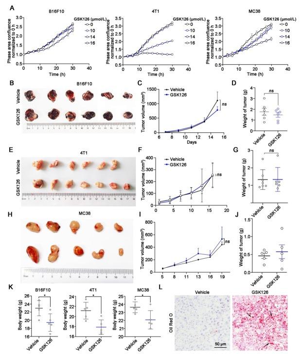 https://cdn.ncbi.nlm.nih.gov/pmc/blobs/ee0a/12116265/5f8762eb3090/j_jtim-2025-0020_fig_001.jpg