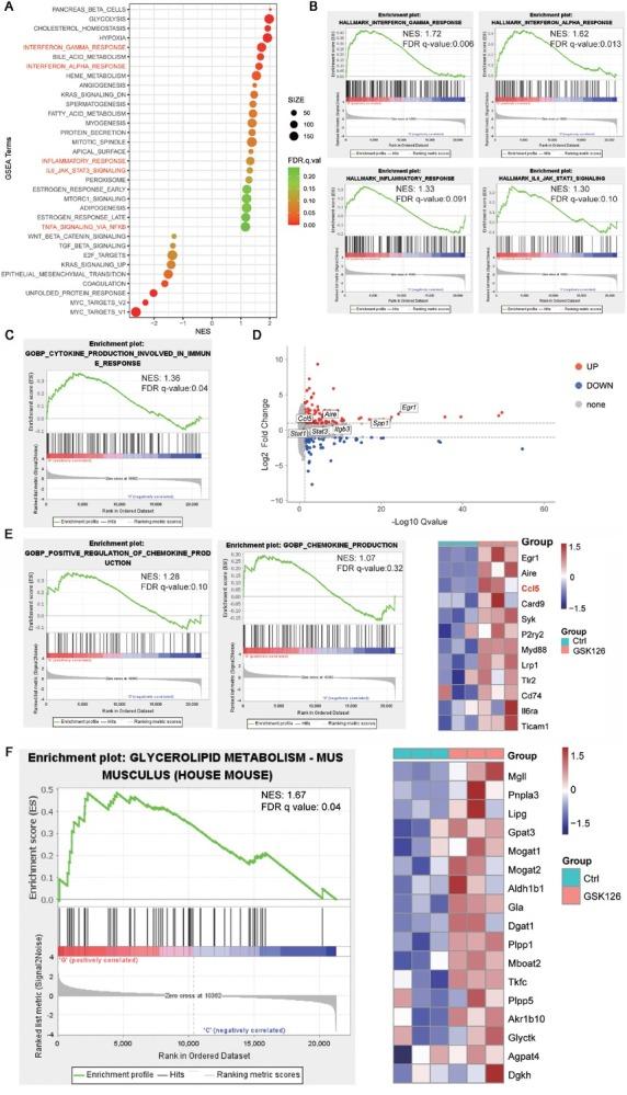 https://cdn.ncbi.nlm.nih.gov/pmc/blobs/ee0a/12116265/c9974d004fdc/j_jtim-2025-0020_fig_002.jpg