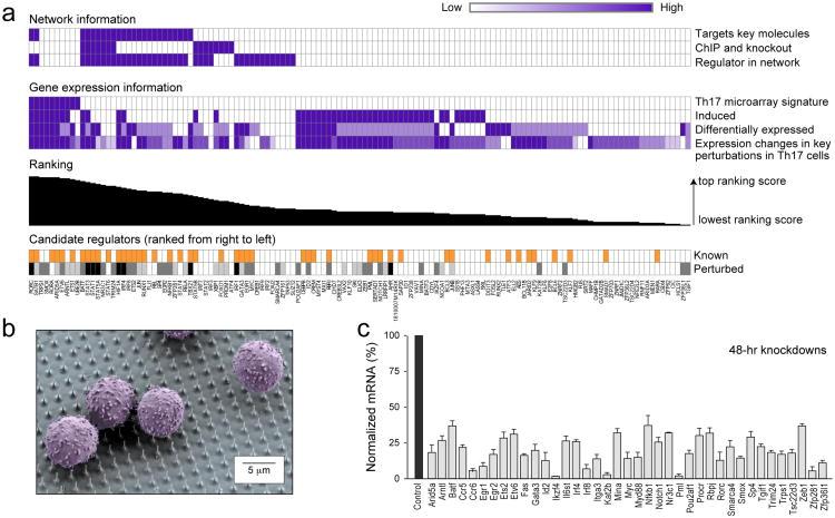 https://cdn.ncbi.nlm.nih.gov/pmc/blobs/ee0b/3637864/2052d333d1f1/nihms442948f3.jpg