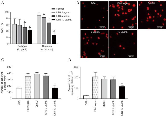 https://cdn.ncbi.nlm.nih.gov/pmc/blobs/ee0e/10113079/423590bd53f1/atm-11-06-250-f3.jpg
