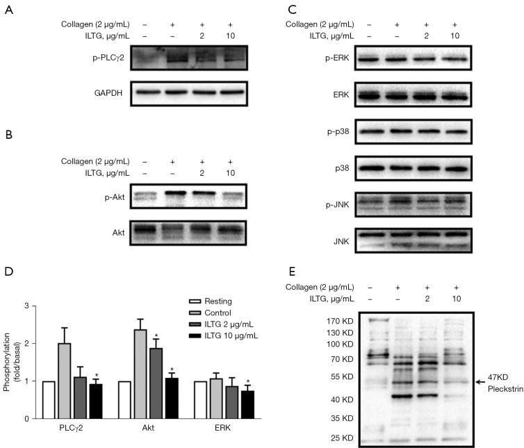 https://cdn.ncbi.nlm.nih.gov/pmc/blobs/ee0e/10113079/a99860273506/atm-11-06-250-f4.jpg