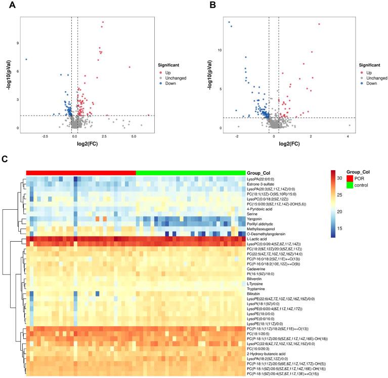 https://cdn.ncbi.nlm.nih.gov/pmc/blobs/ee11/12104088/78a2ccdc38b8/fendo-16-1547550-g002.jpg