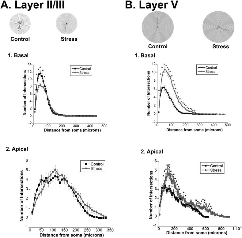 https://cdn.ncbi.nlm.nih.gov/pmc/blobs/ee11/6535647/633ed2def4a3/gr2.jpg