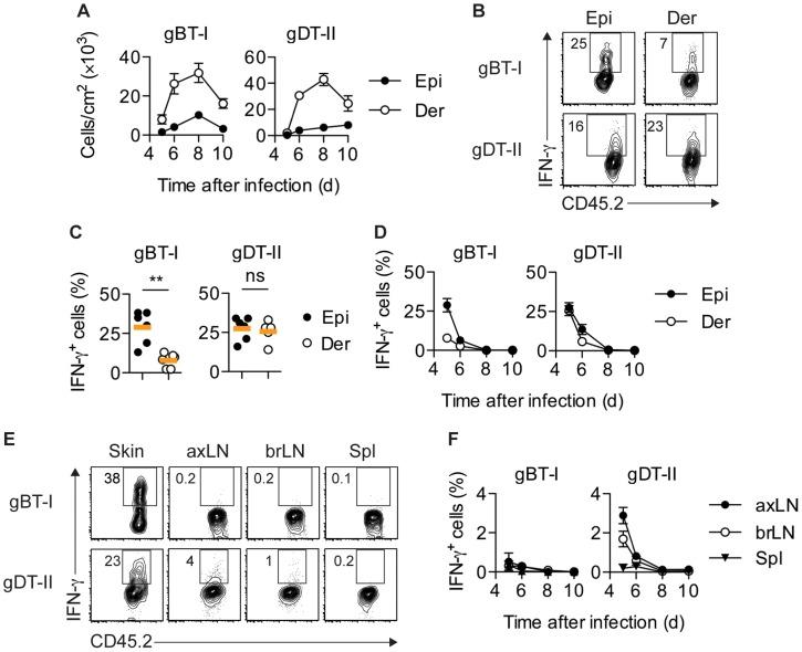 https://cdn.ncbi.nlm.nih.gov/pmc/blobs/ee12/4133397/a9a33338e3d2/ppat.1004303.g001.jpg