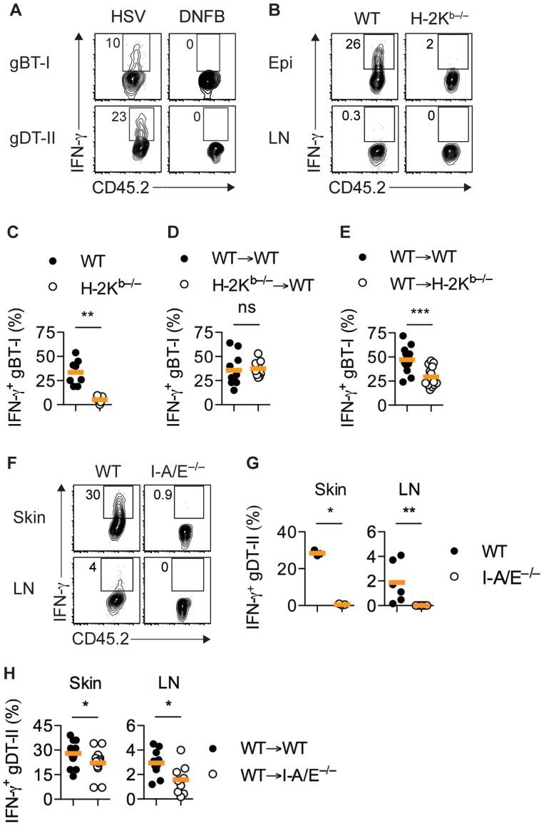https://cdn.ncbi.nlm.nih.gov/pmc/blobs/ee12/4133397/bd467ac271e7/ppat.1004303.g003.jpg
