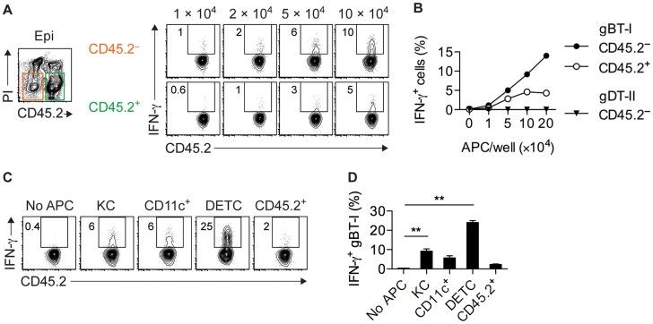 https://cdn.ncbi.nlm.nih.gov/pmc/blobs/ee12/4133397/dd79905b1a7c/ppat.1004303.g006.jpg
