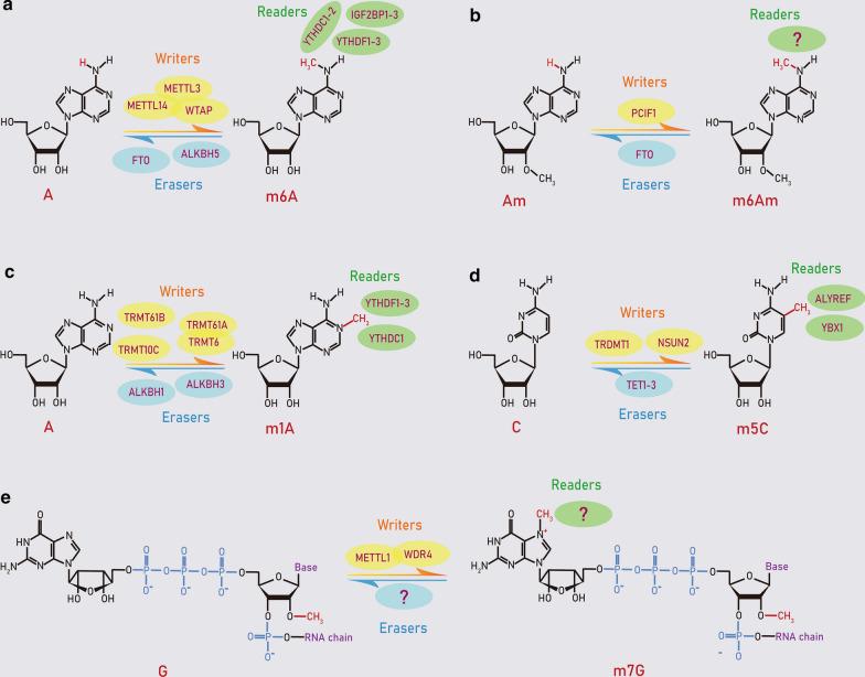 https://cdn.ncbi.nlm.nih.gov/pmc/blobs/ee12/7720447/88d92fd7bf3b/12935_2020_1679_Fig2_HTML.jpg