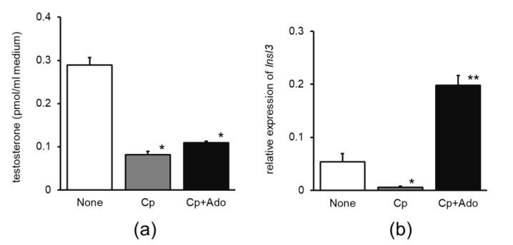 https://cdn.ncbi.nlm.nih.gov/pmc/blobs/ee14/10180690/b10293393f5e/nutrients-15-02142-g002.jpg