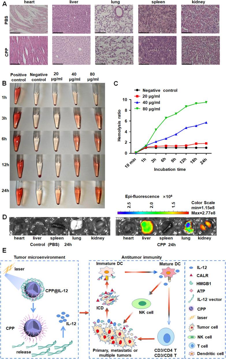 https://cdn.ncbi.nlm.nih.gov/pmc/blobs/ee14/10959451/4cb6f9543531/IJN-19-2755-g0007.jpg