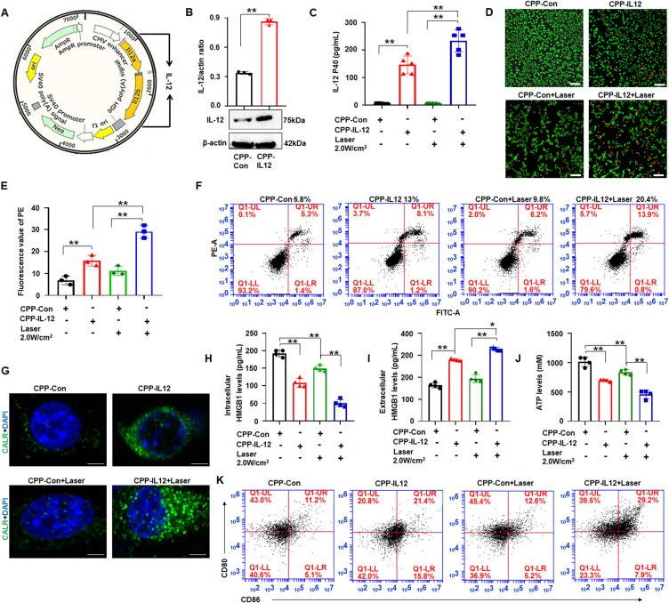 https://cdn.ncbi.nlm.nih.gov/pmc/blobs/ee14/10959451/dce22197cd12/IJN-19-2755-g0002.jpg