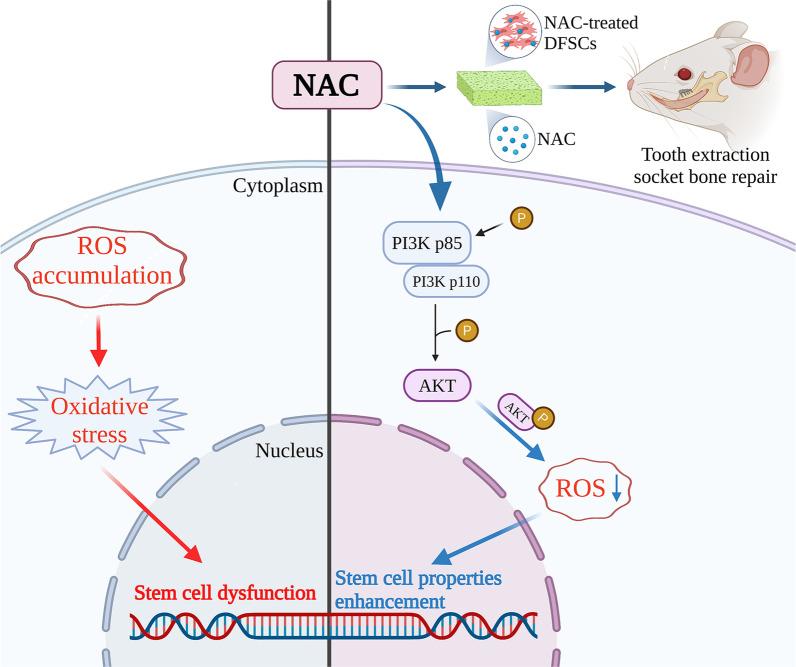 https://cdn.ncbi.nlm.nih.gov/pmc/blobs/ee15/9461171/00aaf4989787/13287_2022_3161_Fig6_HTML.jpg