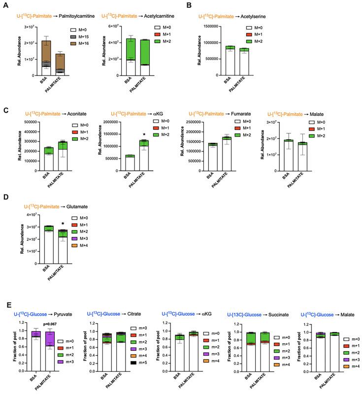 https://cdn.ncbi.nlm.nih.gov/pmc/blobs/ee16/11614388/1d3f97c15a25/elife-87120-fig4-figsupp1.jpg