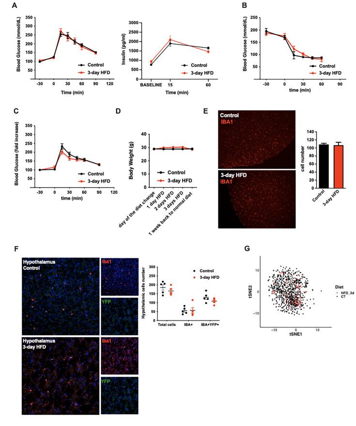 https://cdn.ncbi.nlm.nih.gov/pmc/blobs/ee16/11614388/281db4013c25/elife-87120-fig1-figsupp1.jpg