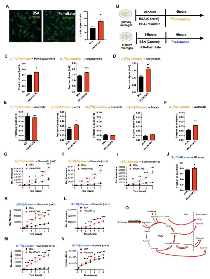 https://cdn.ncbi.nlm.nih.gov/pmc/blobs/ee16/11614388/b203e5465b67/elife-87120-fig4.jpg