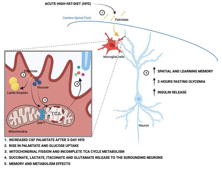 https://cdn.ncbi.nlm.nih.gov/pmc/blobs/ee16/11614388/bb99f96e8d0d/elife-87120-fig6.jpg