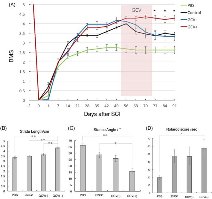 https://cdn.ncbi.nlm.nih.gov/pmc/blobs/ee17/6392358/104a2be64c6e/SCT3-8-260-g006.jpg