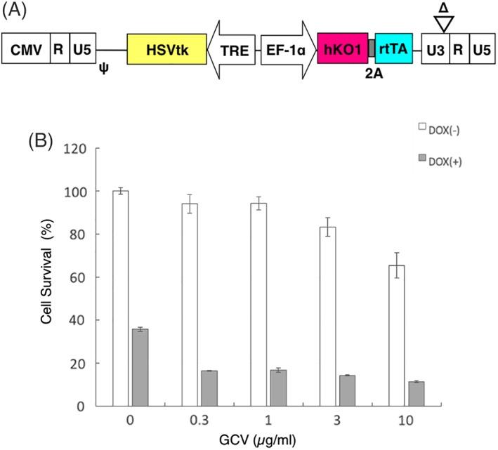 https://cdn.ncbi.nlm.nih.gov/pmc/blobs/ee17/6392358/574a9597de36/SCT3-8-260-g001.jpg