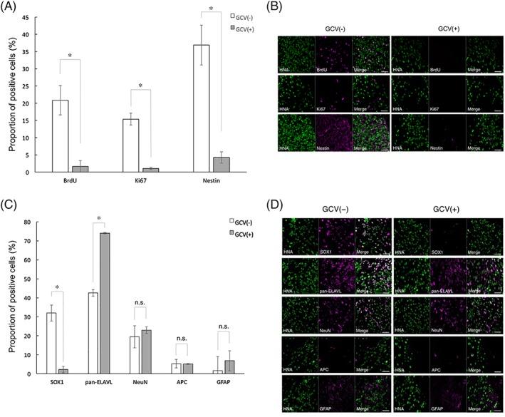 https://cdn.ncbi.nlm.nih.gov/pmc/blobs/ee17/6392358/e34be06b414e/SCT3-8-260-g005.jpg