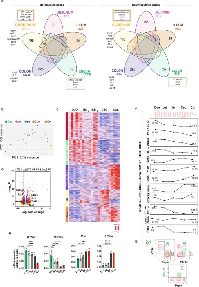 https://cdn.ncbi.nlm.nih.gov/pmc/blobs/ee18/8363668/16e01bb3631e/41467_2021_25115_Fig2_HTML.jpg