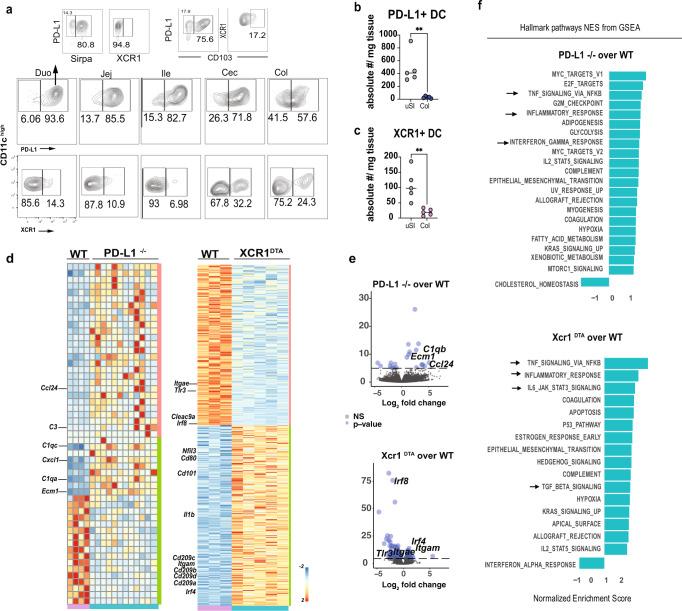 https://cdn.ncbi.nlm.nih.gov/pmc/blobs/ee18/8363668/603af965d04c/41467_2021_25115_Fig4_HTML.jpg