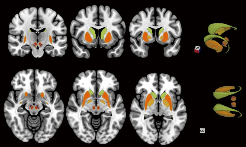 https://cdn.ncbi.nlm.nih.gov/pmc/blobs/ee19/12397670/43f3c3f8ab4e/qims-15-09-8292-f1.jpg