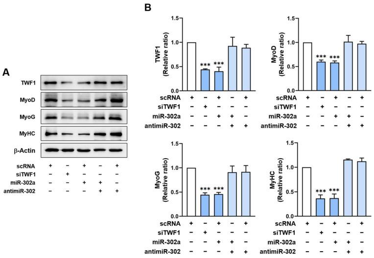 https://cdn.ncbi.nlm.nih.gov/pmc/blobs/ee1a/10094299/74f652633a1e/ijms-24-06341-g005.jpg