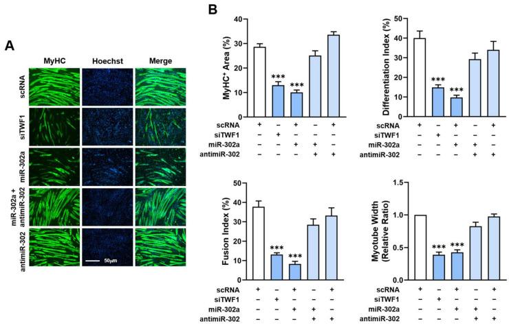 https://cdn.ncbi.nlm.nih.gov/pmc/blobs/ee1a/10094299/7ff14d5c839a/ijms-24-06341-g006.jpg