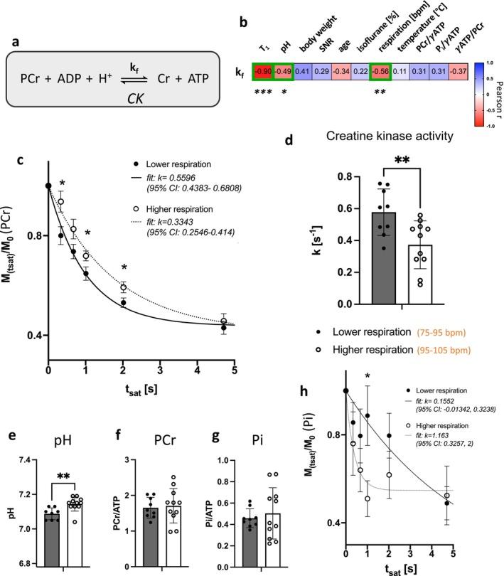 https://cdn.ncbi.nlm.nih.gov/pmc/blobs/ee1a/12046211/9e70795a47fe/NBM-38-e70055-g006.jpg